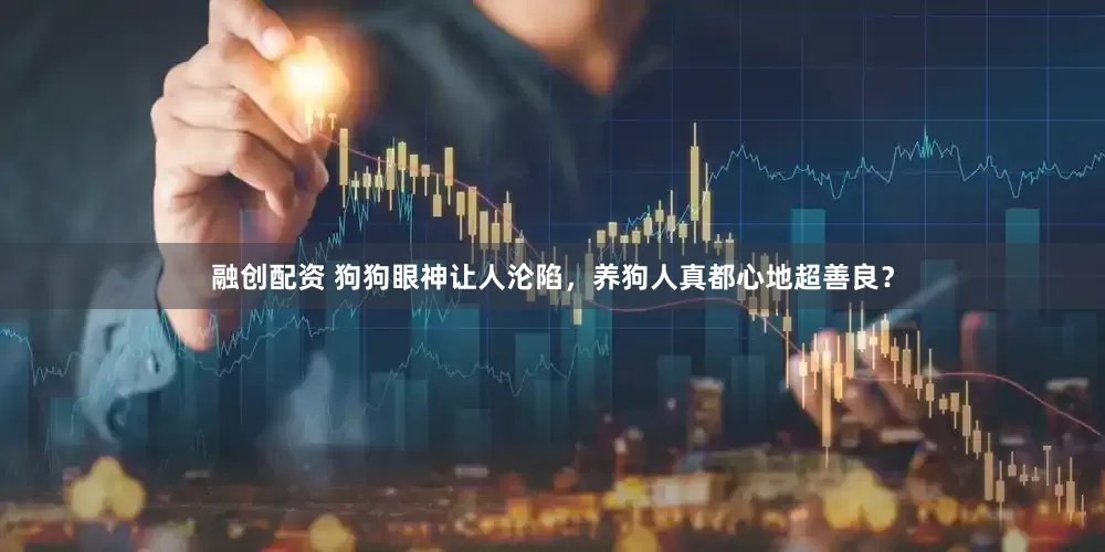 融创配资 狗狗眼神让人沦陷，养狗人真都心地超善良？
