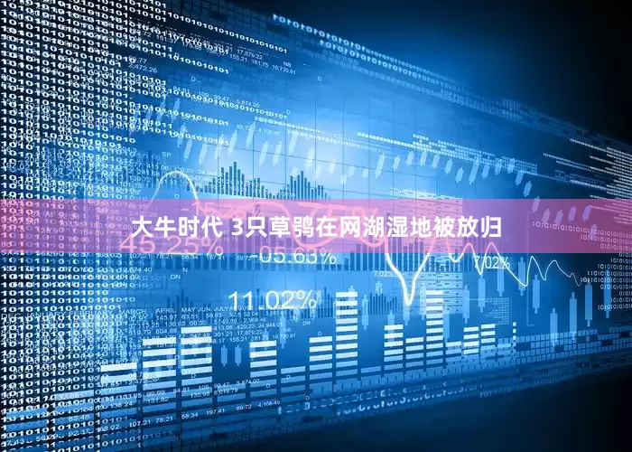 大牛时代 3只草鸮在网湖湿地被放归